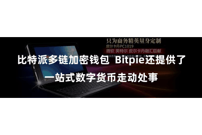 比特派多链加密钱包  Bitpie还提供了一站式数字货币走动处事