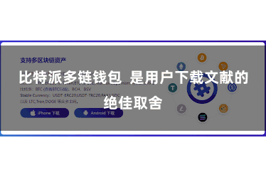 比特派多链钱包  是用户下载文献的绝佳取舍