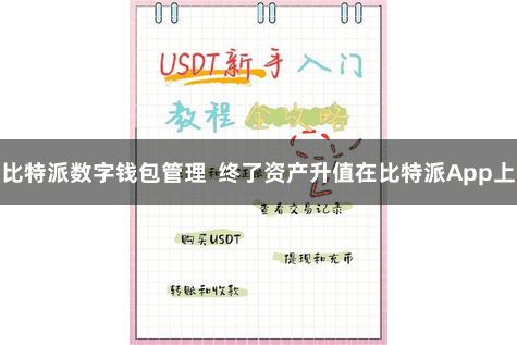 比特派数字钱包管理  终了资产升值在比特派App上